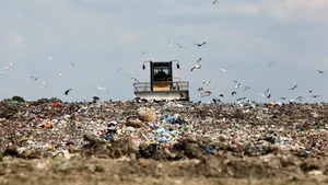 Numeroase păsări moarte aruncate într-o groapă de lângă o fermă avicolă din judeţul Galaţi