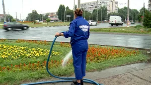 Spaţiile verzi din Galaţi, udate şi pe ploaie