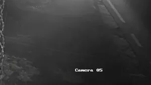 Familiile victimelor accidentului de la 2 Mai şi avocatul lor, despre apărarea lui Vlad Pascu: Cinism exagerat