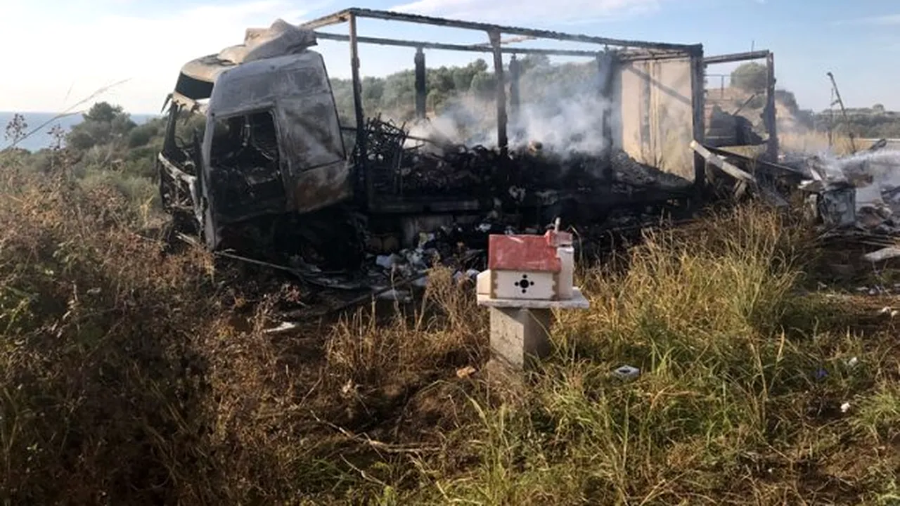 MAE, despre accidentul rutier GRAV din Grecia: Printre victime nu sunt români