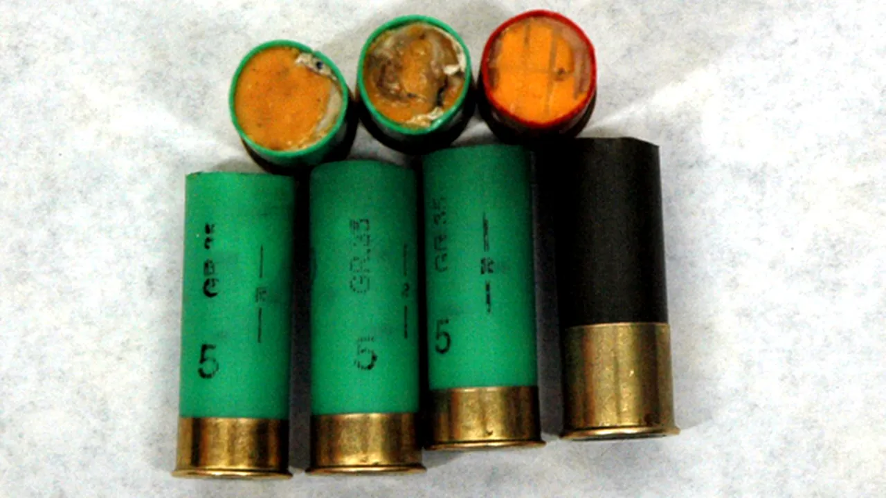 Zeci de arme şi mii de cartuşe, confiscate de poliţişti - FOTO