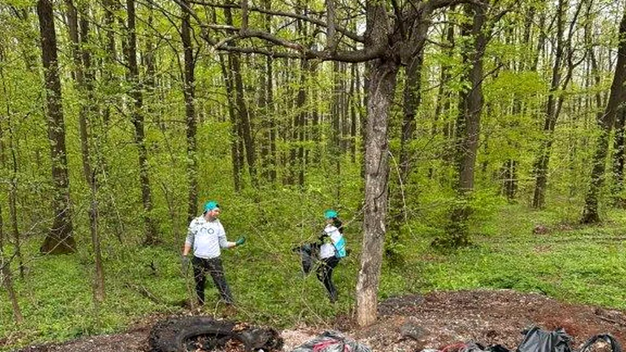 Curăţenia de Paşte în pădurea Lucianca 