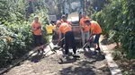 Infrastructură S5. Infrastructură S5 S.A. continuă programul de intervenții destinat îmbunătățirii infrastructurii din proximitatea școlilor (P)
