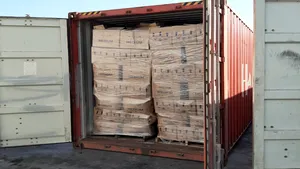Import ilegal de deşeuri în România. Containere încărcate cu deşeuri, în Portul Constanţa Sud Agigea
