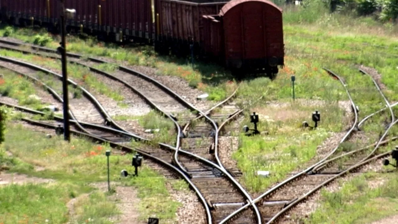 Circulaţie feroviară deviată între Lehliu şi Săruleşti după ciocnirea a două trenuri de marfă - VIDEO