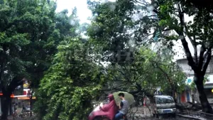 Cel puţin 25 de morţi în sudul Chinei, în urma taifunului Usagi