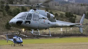 Numeroşi lupi sunt în zona muntoasă în care s-a prăbuşit avionul Germanwings