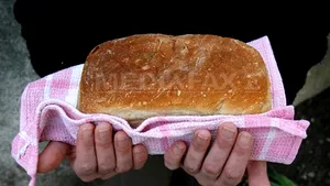 Moda care-i înnebuneşte pe orăşenii-eco: maşina de pâine. De ce mănâncă Oana Cuzino doar pâinea pe care şi-o face singură
