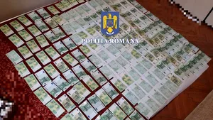 Sume mari de bani şi tablouri ale unor pictori celebri, ridicate în cazul stimulatoarelor cardiace