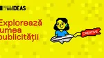 Cu câteva luni în urmă erau participanți School of Big Ideas