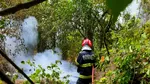 Incendiul de la Chilia a reizbucnit. Pompierii și Forțele Aeriene mobilizate pentru stingerea flăcărilor