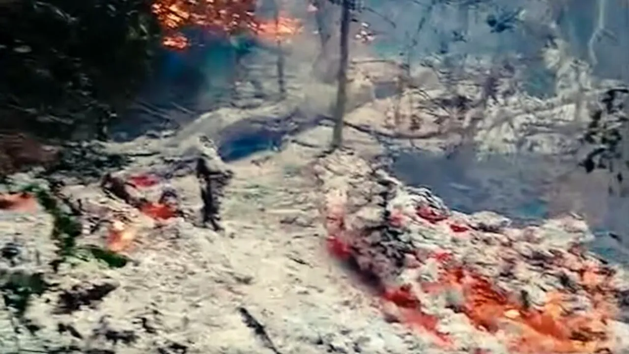 Incendiu pe malul brațului Chilia, în apropiere de Plauru. Specialiștii MApN verifică zona