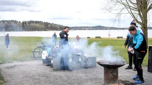 Expert: Câţi suedezi s-au imunizat prin îmbolnăvire ca urmare a strategiei 