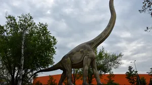  Dinţii unui diplodocus sugerează că strămoşii săi ar fi consumat carne
