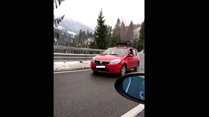Scene îngrozitoare: Un câine a fost împuşcat chiar sub ochii unei familii din Maramureş. Copilul este în stare de şoc. FOTO
