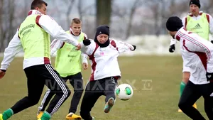 UNGARIA-ROMÂNIA - Selecţionerul Victor Piţurcă: Ne luptăm cu Ungaria pentru locul doi