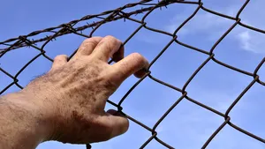 Government To Take Responsibility Before Parliament for Sentence Compensation Repeal