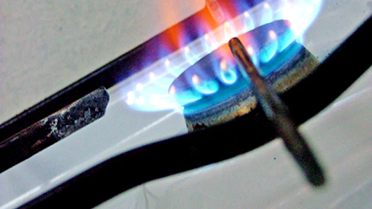 Preţul electricităţii va fi menţinut până la 1 ianuarie 2011, dar la gaze poate fi o scumpire