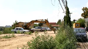 Gândul: Sorin Oprescu a dispus şi a contramandat tăierea a 18.000 de copaci din pepiniera Pipera