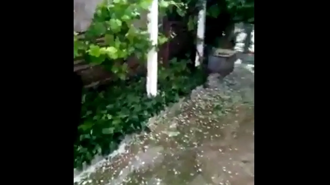 Acuzaţii la adresa autorităţilor: Oamenii au fost anunţaţi cu întârziere prin Ro-Alert despre căderile de grindină din Maramureş | VIDEO