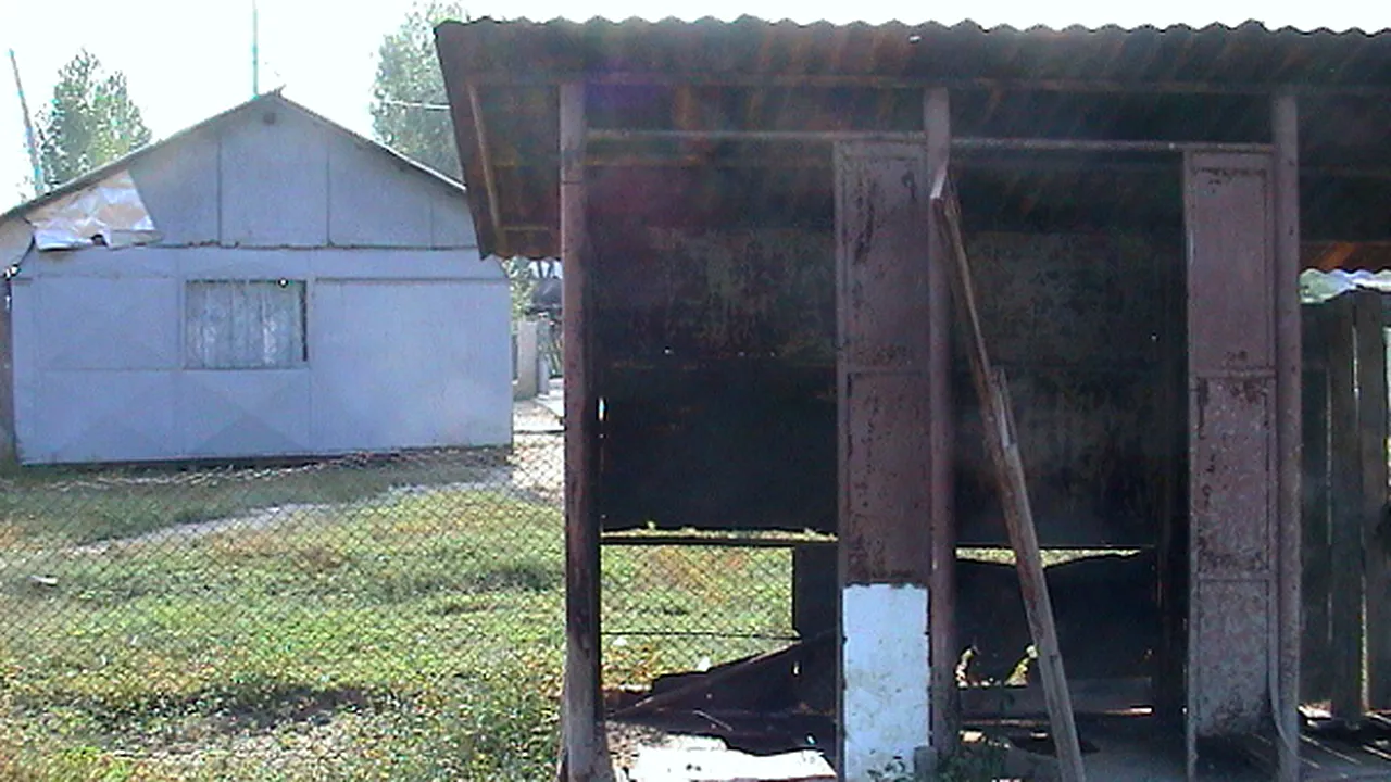România, pe primul loc în topul ţărilor cu gospodării care au WC-urile în curte