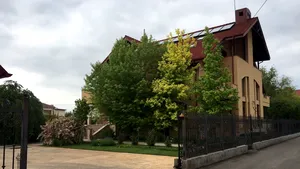 VIDEO | Familia lui Sebastian Ghiţă a refuzat să comenteze eliberarea pe cauţiune a fostului deputat. Socru: 