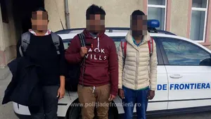 Trei migranţi au fost prinşi în Satu Mare în timp ce încercau să ajungă la frontiera cu Ungaria 