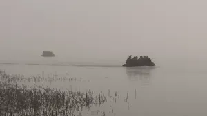 Putin se confruntă cu o revoltă a armatei. „Comandanţii refuză să trimită trupe” pentru un asalt pe râul Nipru, spun partizanii ucraineni