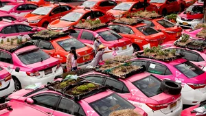 GALERIE FOTO Taxiurile Covid au devenit grădini de legume în Bangkok