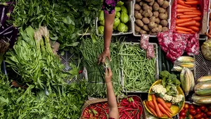Fermierii deschid calea către protecţia sustenabilă a culturilor şi producţii de calitate