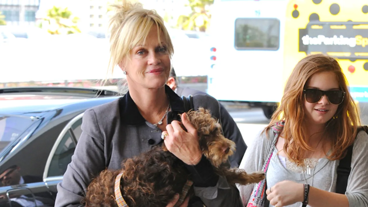 Melanie Griffith spune că doreşte custodia celor trei câini, după divorţul de Antonio Banderas