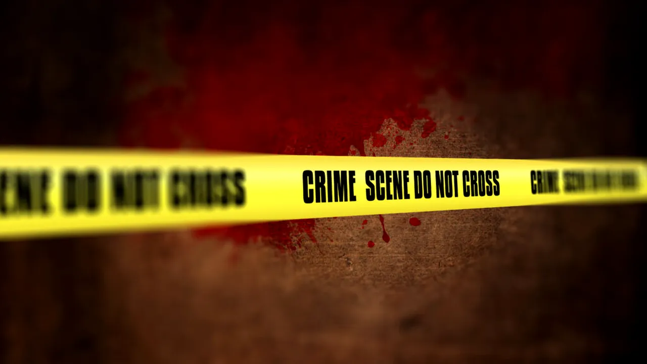 Franța, caz șocant. Un băiat de 9 ani, găsit gol și subnutrit într-o dubă. Tatăl îl ținea închis din 2024