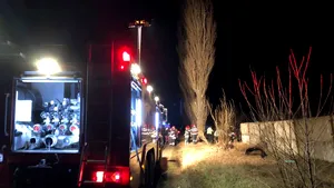 Grav accident în Teleorman: Un tânăr mort şi altul rănit grav, după ce maşina în care erau a intrat într-un copac