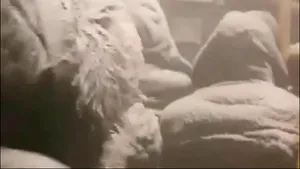 VIDEO | Zeci de pasageri, blocaţi într-un autobuz în Siberia, transformaţi de viscol în „oameni de zăpadă”. Afară erau -26 de grade Celsius