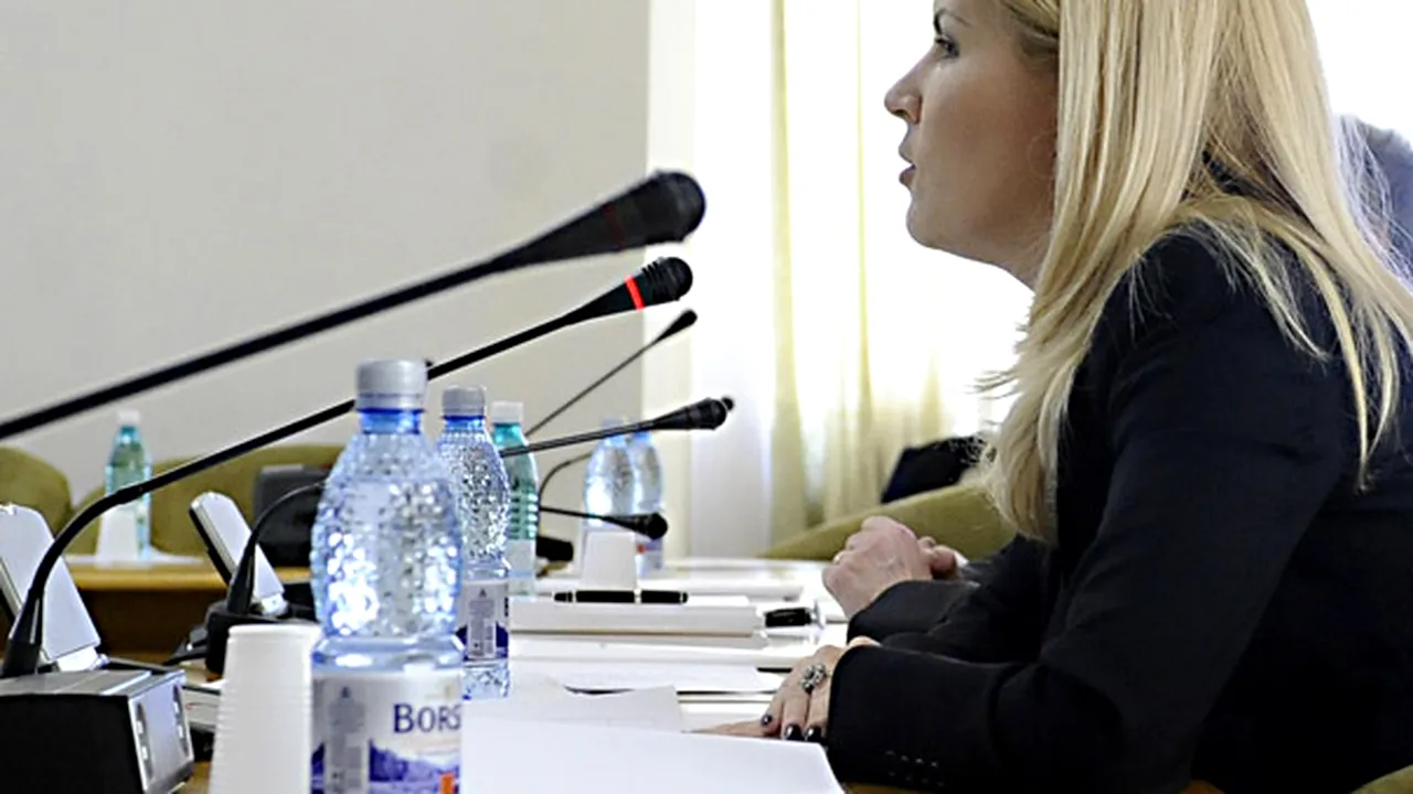 Udrea explică amânarea introducerii certificatului energetic pentru locuinţe