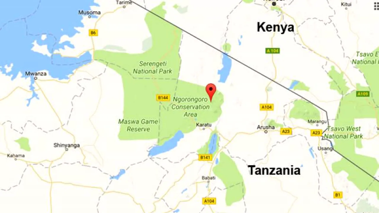 Cel puţin 11 morţi, în Tanzania, după prăbuşirea unui avion care transporta turişti