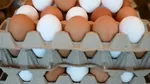 Nutrienții din ouă ar putea reduce riscul de a dezvolta Alzheimer. Recomandările specialiștilor