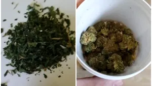 Percheziţii în Oradea, la un magazin care vindea produse din cannabis