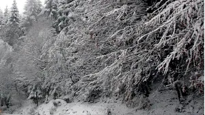 Traficul pe DN 67 D, blocat din cauza unei avalanşe, a fost reluat