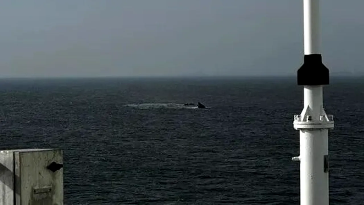 UPDATE O navă s-a scufundat în Portul Midia. Surse: Toți cei cinci membri ai echipajului au fost declarați morți