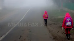 COD GALBEN de ceaţă în 26 de judeţe 