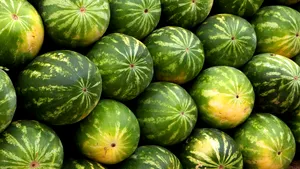 Controversă în California provocată de un magazin care vinde fructe de lux. Cât costă un pepene și o căpșună