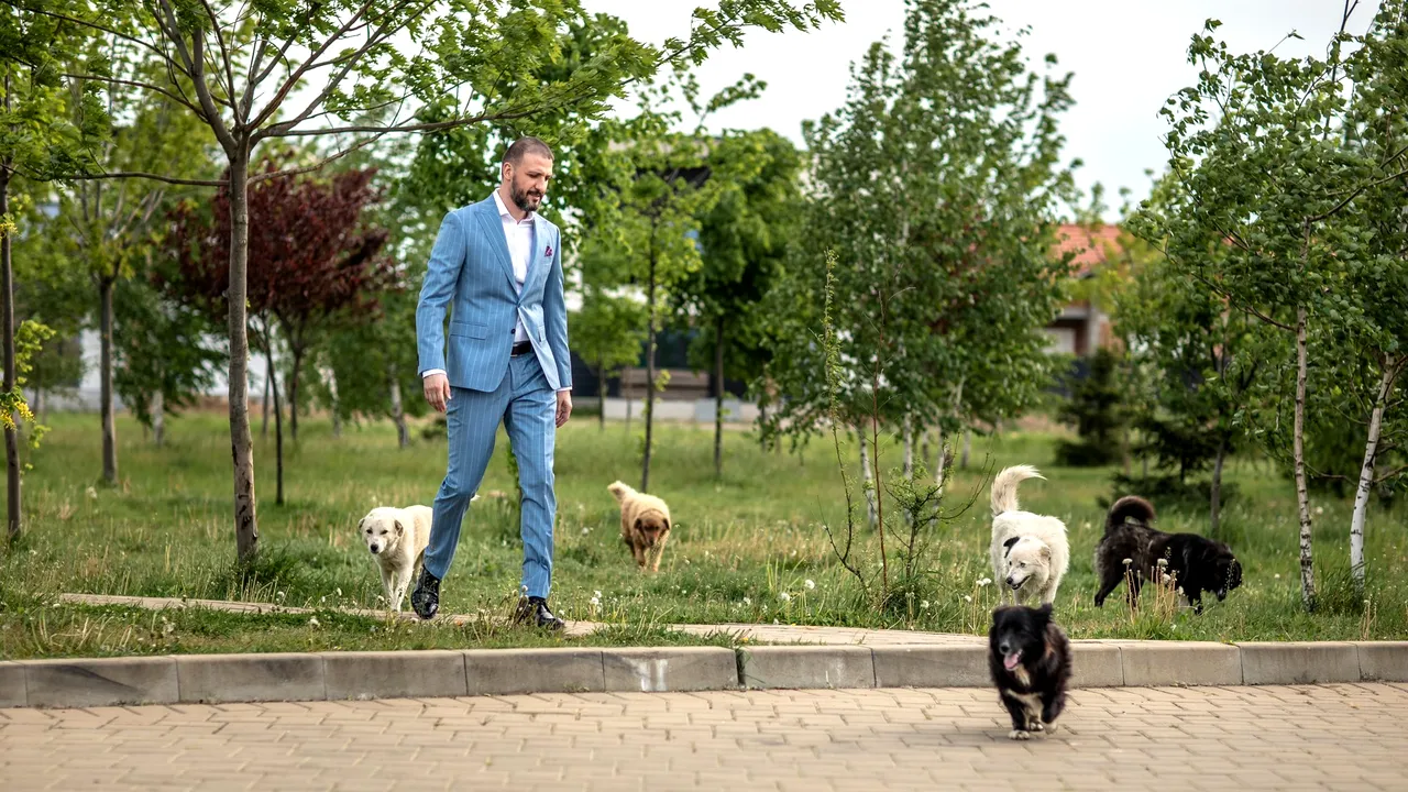 Câine aruncat la gunoi de viu. Ştefan Mandachi organizează un protest pentru oprirea abuzurilor asupra animalelor 