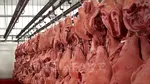 Activitate suspendată într-un abator din Franța după difuzarea unui videoclip cu animale maltratate