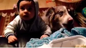 VIDEO Doi părinţi încearcă să-l facă pe bebeluşul lor să spună „mama”. Dar au o surpriză din partea căţelului