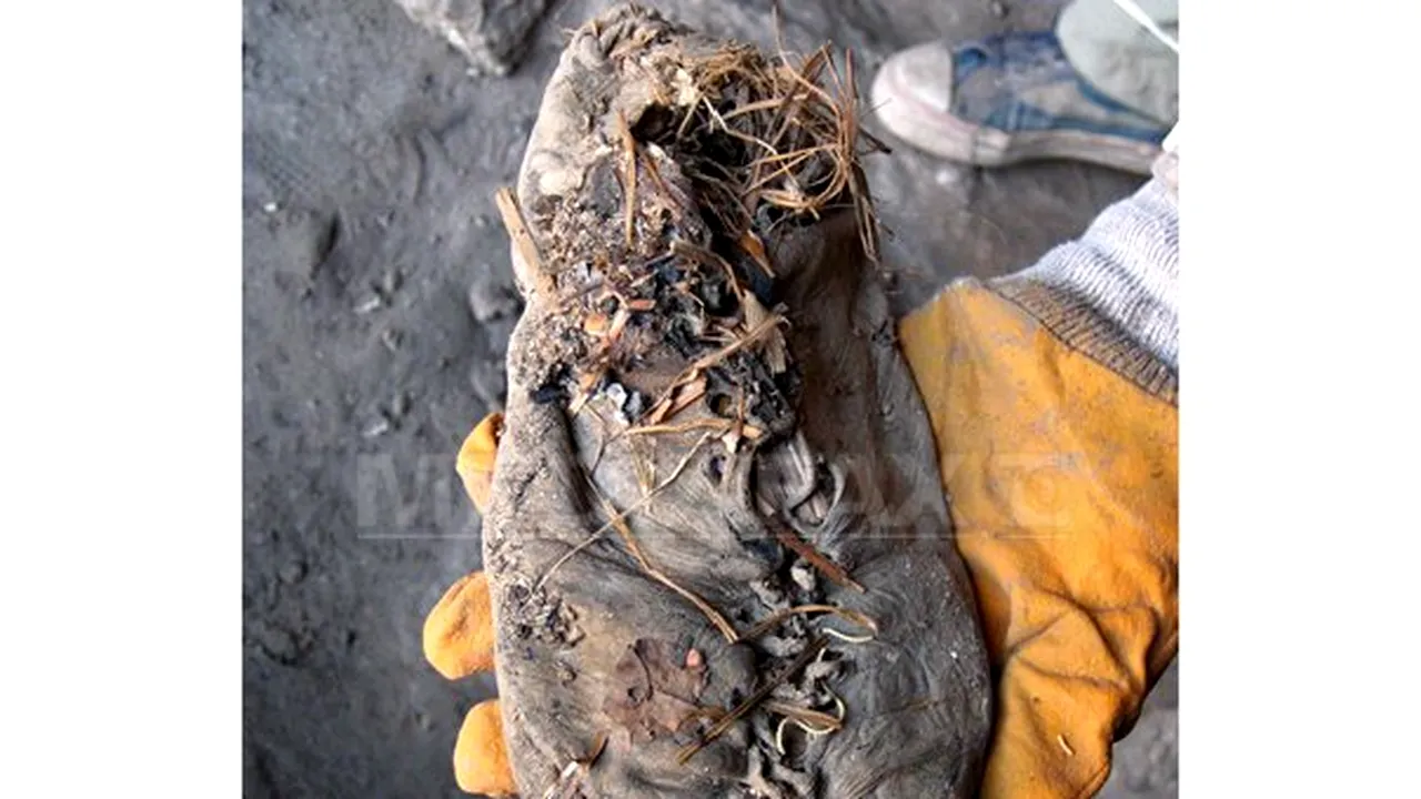 Cel mai vechi pantof din lume, realizat în urmă cu peste 5.500 de ani, descoperit în Armenia