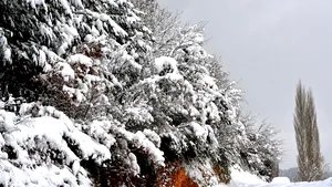 Prognoza ANM: Răcire accentuată a vremii în București, cu lapoviță, ninsoare și vânt puternic
