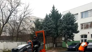 Curtea Grădiniţei nr.268 a fost reamenajată complet (P)