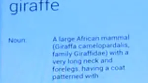 Virusul GOOGLE care a trecut neobservat aproape trei luni - VIDEO