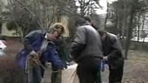 Osemintele unei persoane neidentificate, găsite într-un canal din Buzău